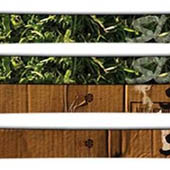 Trasa.Ru - Зеленые лыжи