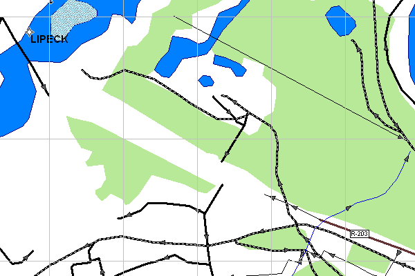 Векторная карта Липецкой области для GPS навигаторов Garmin. Trasa.ru