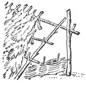 Trasa.Ru - Выживание в тайге