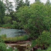 Trasa.Ru - Выживание в тайге