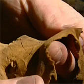 Trasa.Ru - В качестве трута подойдет кусок подкладки, войлок, труха, очень мелкая стружка