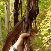 Trasa.Ru - Приготовьте сухие легковоспламеняющиеся материалы, например кору