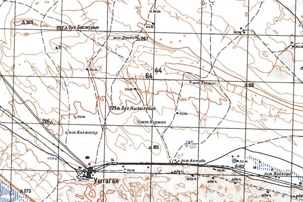 Уменьшенный фрагмент представленной топографической карты K-39-05 - Trasa.ru