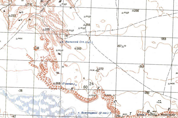 Уменьшенный фрагмент представленной топографической карты K-39-06 - Trasa.ru
