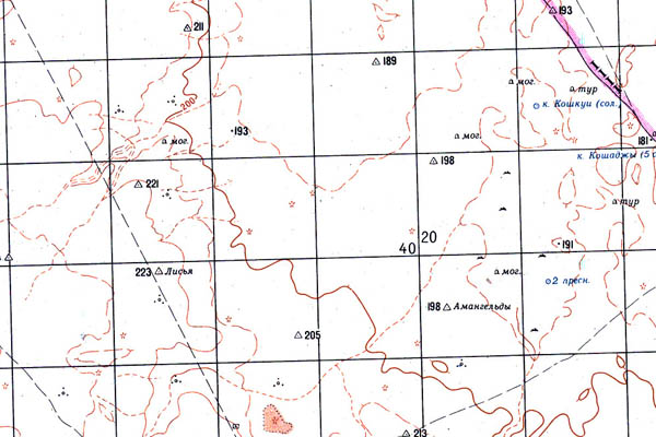 Уменьшенный фрагмент представленной топографической карты K-40-19 - Trasa.ru