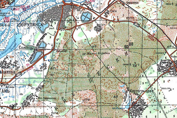 Уменьшенный фрагмент представленной топографической карты L-36-15 - Trasa.ru