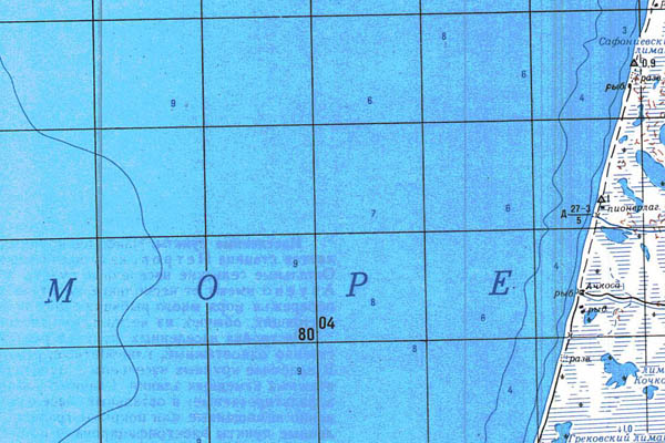 Уменьшенный фрагмент представленной топографической карты L-37-20 - Trasa.ru