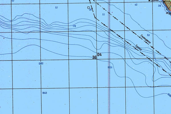 Уменьшенный фрагмент представленной топографической карты L-37-32 - Trasa.ru