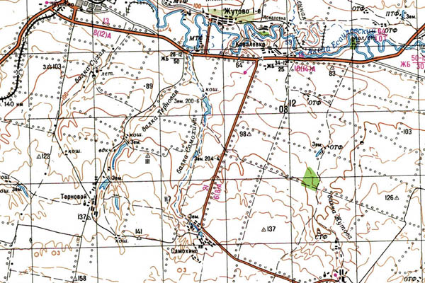 Уменьшенный фрагмент представленной топографической карты L-38-02 - Trasa.ru
