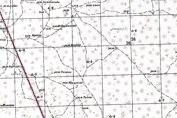 Уменьшенный фрагмент представленной топографической карты L-39-07 - Trasa.ru
