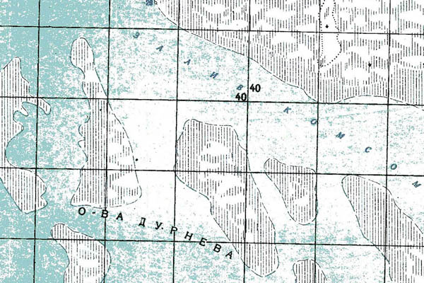Уменьшенный фрагмент представленной топографической карты L-39-23 - Trasa.ru