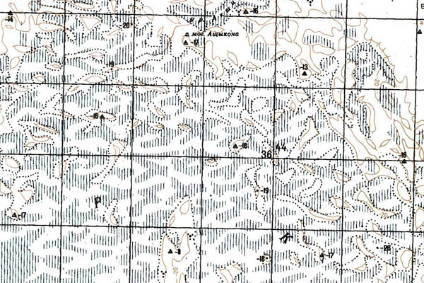 Уменьшенный фрагмент представленной топографической карты L-39-35 - Trasa.ru