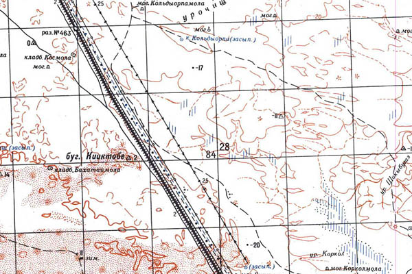 Уменьшенный фрагмент представленной топографической карты L-40-19 - Trasa.ru