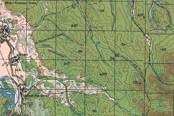 Уменьшенный фрагмент представленной топографической карты L-53-04 - Trasa.ru
