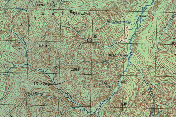 Уменьшенный фрагмент представленной топографической карты L-53-06 - Trasa.ru