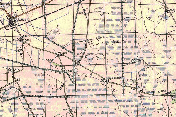 Уменьшенный фрагмент представленной топографической карты L-53-07 - Trasa.ru