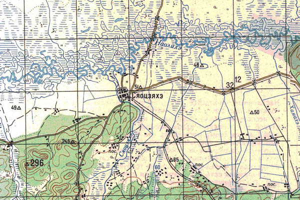 Уменьшенный фрагмент представленной топографической карты L-53-08 - Trasa.ru
