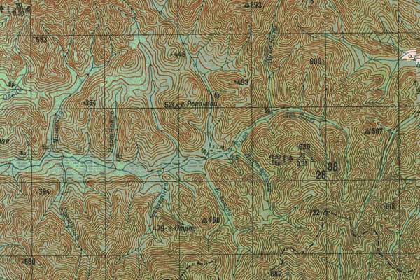 Уменьшенный фрагмент представленной топографической карты L-53-09 - Trasa.ru
