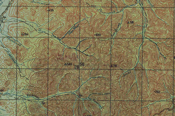 Уменьшенный фрагмент представленной топографической карты L-53-10 - Trasa.ru