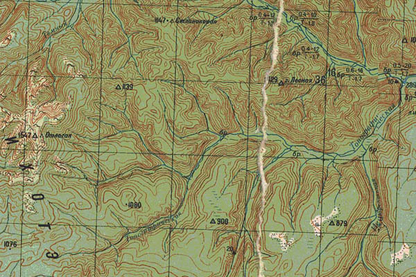 Уменьшенный фрагмент представленной топографической карты L-53-12 - Trasa.ru