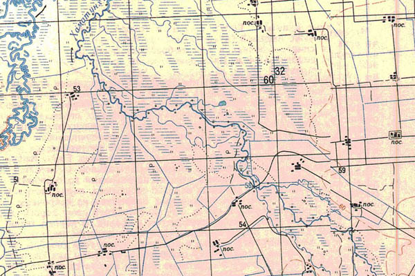 Уменьшенный фрагмент представленной топографической карты L-53-13 - Trasa.ru