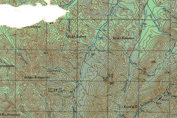 Уменьшенный фрагмент представленной топографической карты L-53-16 - Trasa.ru