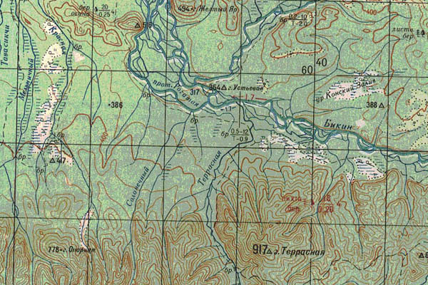 Уменьшенный фрагмент представленной топографической карты L-53-17 - Trasa.ru