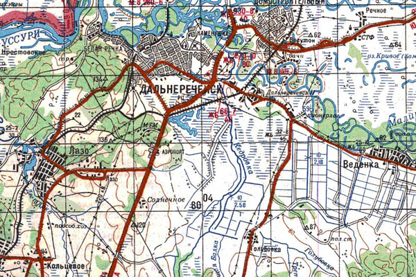 Уменьшенный фрагмент представленной топографической карты L-53-20 - Trasa.ru