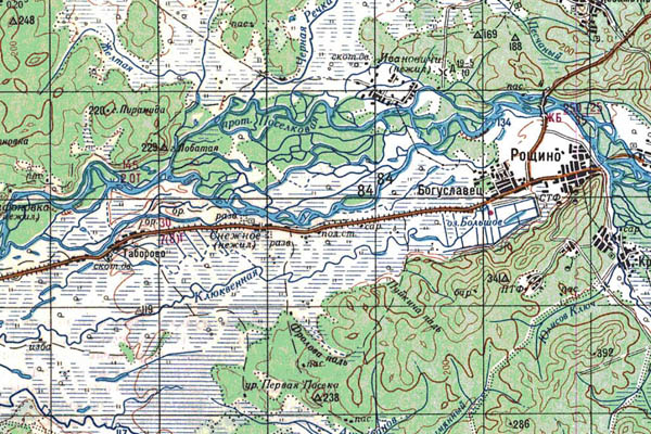Уменьшенный фрагмент представленной топографической карты L-53-21 - Trasa.ru