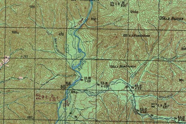 Уменьшенный фрагмент представленной топографической карты L-53-22 - Trasa.ru