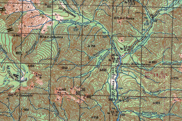 Уменьшенный фрагмент представленной топографической карты L-53-23 - Trasa.ru