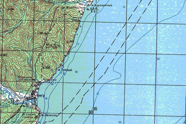 Уменьшенный фрагмент представленной топографической карты L-53-24 - Trasa.ru