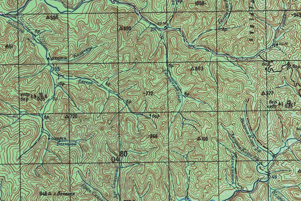 Уменьшенный фрагмент представленной топографической карты L-53-27 - Trasa.ru