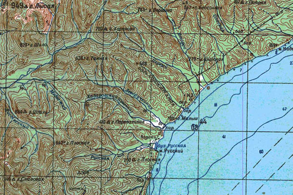 Уменьшенный фрагмент представленной топографической карты L-53-29 - Trasa.ru