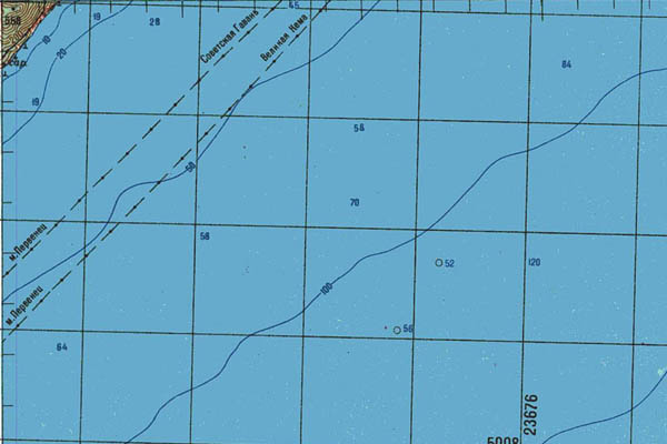 Уменьшенный фрагмент представленной топографической карты L-53-30 - Trasa.ru