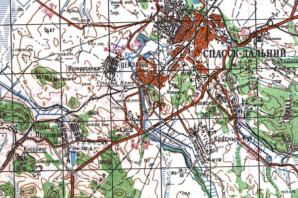 Уменьшенный фрагмент представленной топографической карты L-53-31 - Trasa.ru