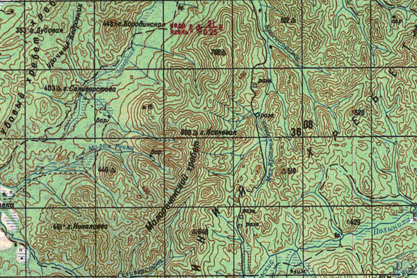 Уменьшенный фрагмент представленной топографической карты L-53-32 - Trasa.ru