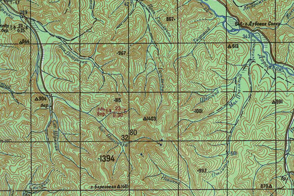 Уменьшенный фрагмент представленной топографической карты L-53-33 - Trasa.ru