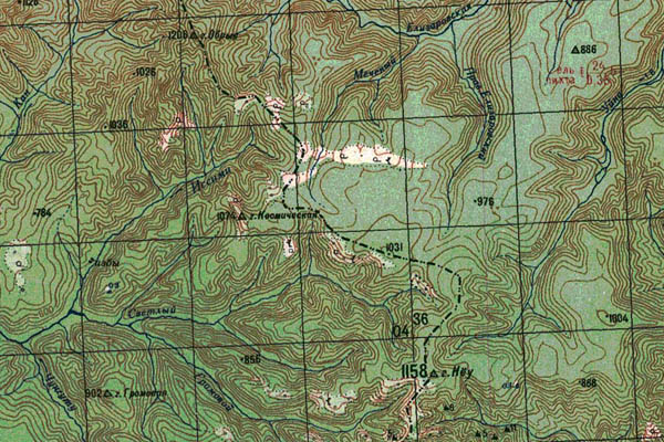 Уменьшенный фрагмент представленной топографической карты L-54-01 - Trasa.ru