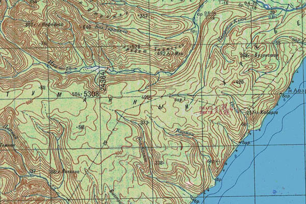 Уменьшенный фрагмент представленной топографической карты L-54-02 - Trasa.ru