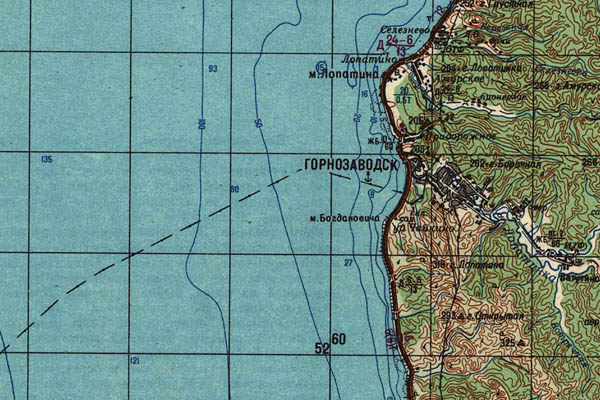 Уменьшенный фрагмент представленной топографической карты L-54-16 - Trasa.ru