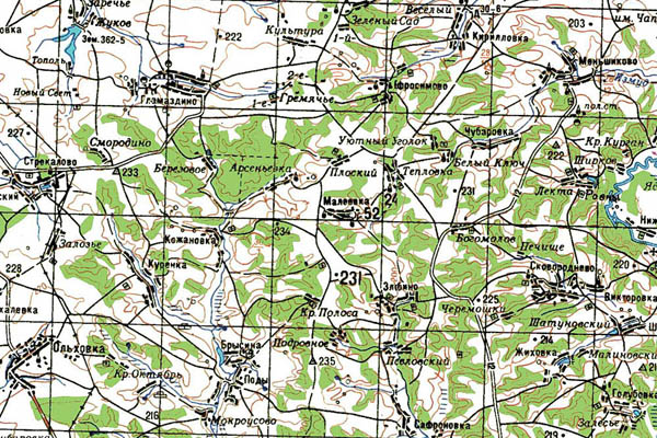 Уменьшенный фрагмент представленной топографической карты M-36-05 - Trasa.ru