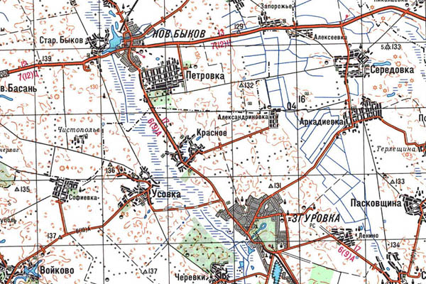 Уменьшенный фрагмент представленной топографической карты M-36-14 - Trasa.ru