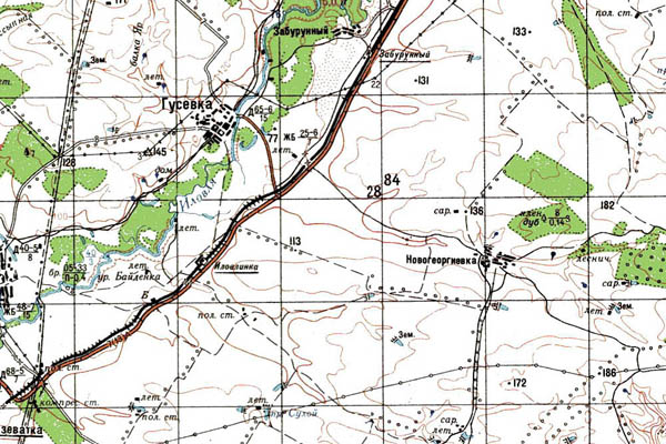 Уменьшенный фрагмент представленной топографической карты M-38-21 - Trasa.ru
