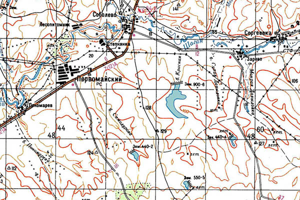 Уменьшенный фрагмент представленной топографической карты M-39-04 - Trasa.ru