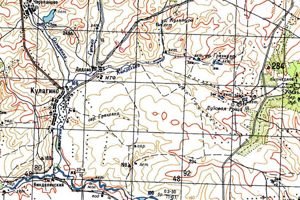 Уменьшенный фрагмент представленной топографической карты M-39-06 - Trasa.ru