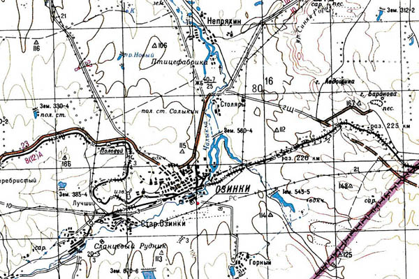 Уменьшенный фрагмент представленной топографической карты M-39-08 - Trasa.ru