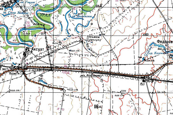 Уменьшенный фрагмент представленной топографической карты M-39-10 - Trasa.ru