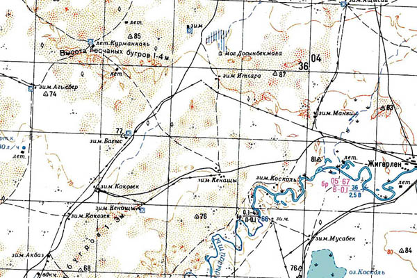 Уменьшенный фрагмент представленной топографической карты M-39-24 - Trasa.ru