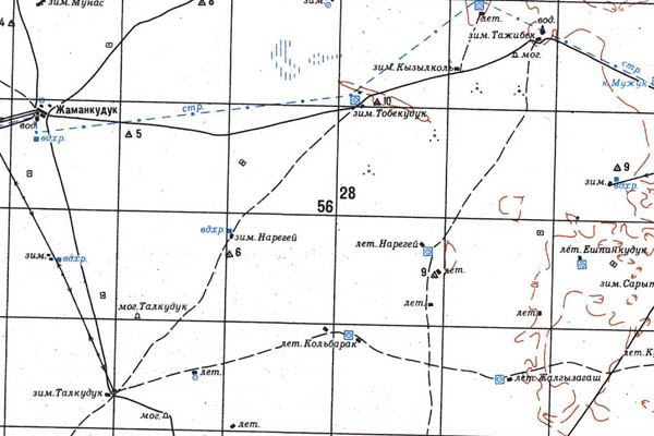 Уменьшенный фрагмент представленной топографической карты M-39-29 - Trasa.ru